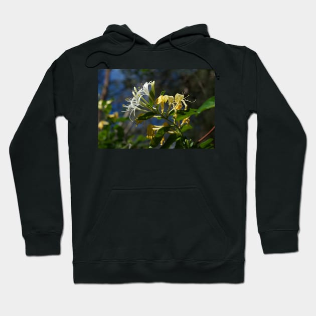 Honeysuckle Hoodie by GP1746